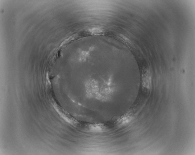 X0000052630618200507221751