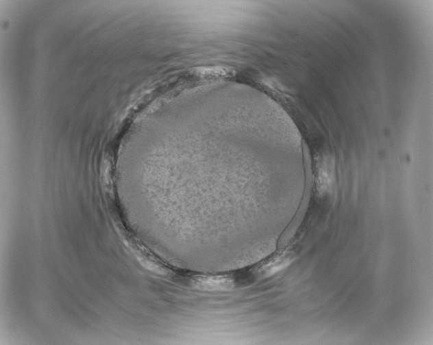 X0000052630619200507221751