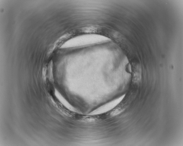 X0000052630620200507221751