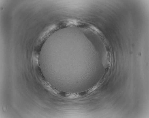 X0000052630621200507221751