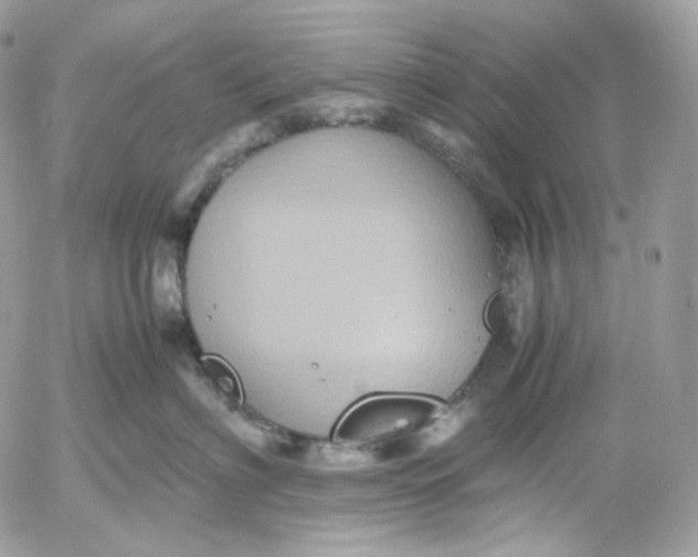 X0000052630622200507221751