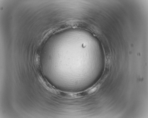 X0000052630623200507221751