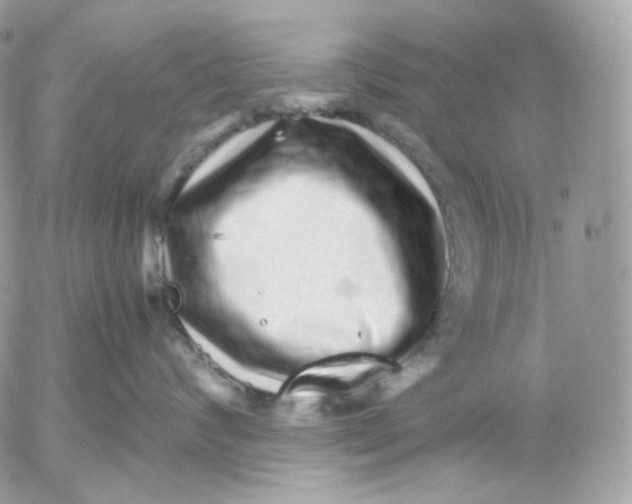 X0000052630624200507221751