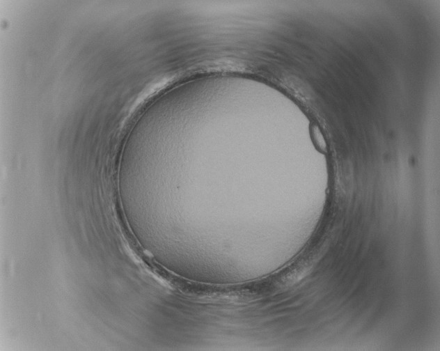 X0000052630625200507221751