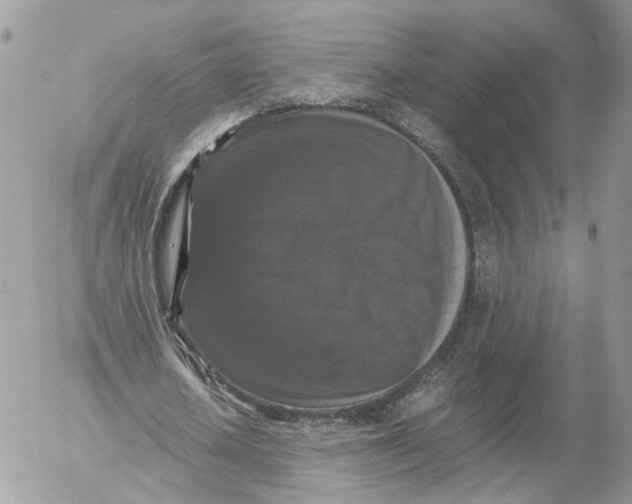 X0000052630626200507221751