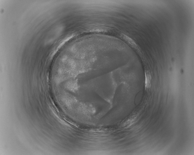 X0000052630627200507221751