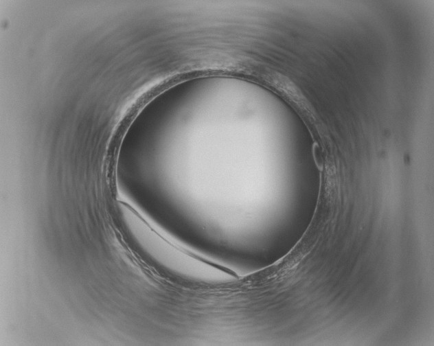 X0000052630628200507221751