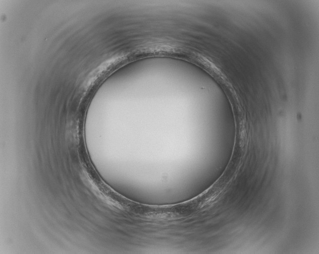 X0000052630629200507221751