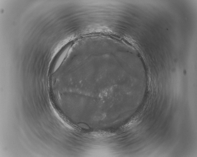 X0000052630630200507221751