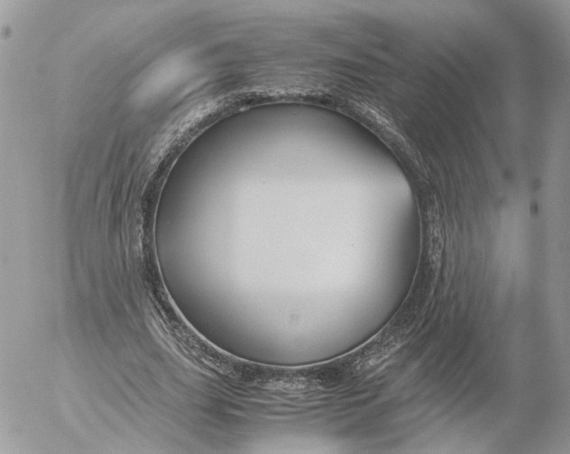 X0000052630631200507221751