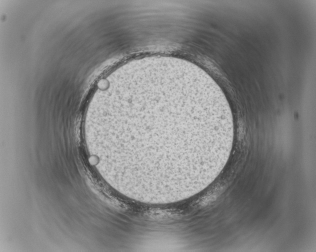 X0000052630632200507221751