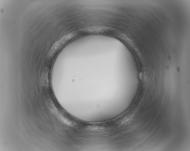 X0000052630633200507221751