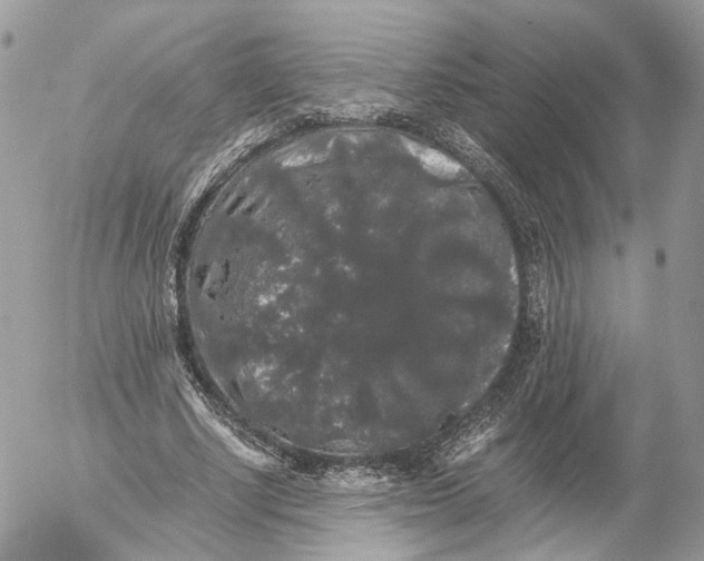 X0000052630634200507221751