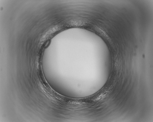 X0000052630635200507221751