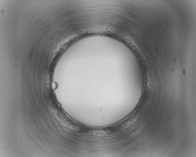 X0000052630636200507221751