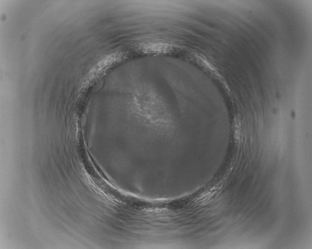 X0000052630637200507221751