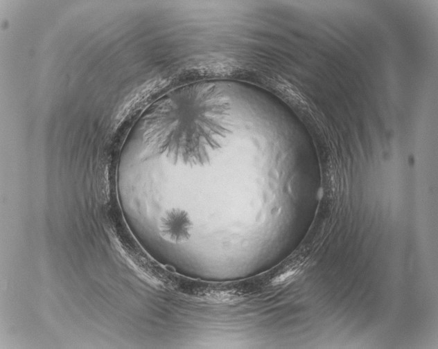 X0000052630638200507221751