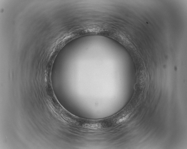 X0000052630639200507221751