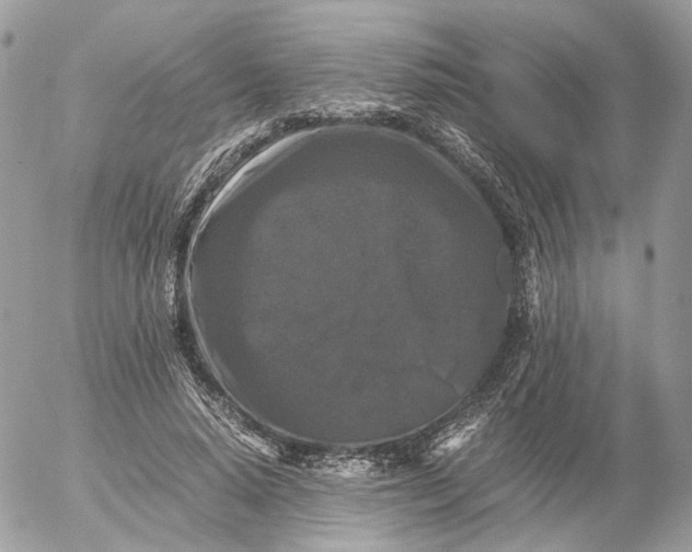 X0000052630640200507221751