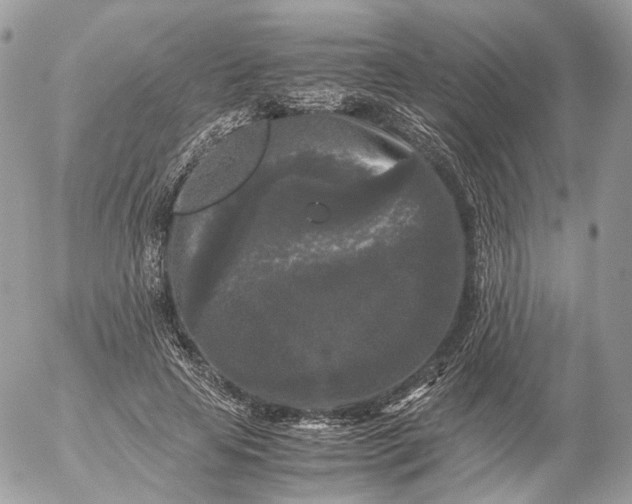 X0000052630641200507221751