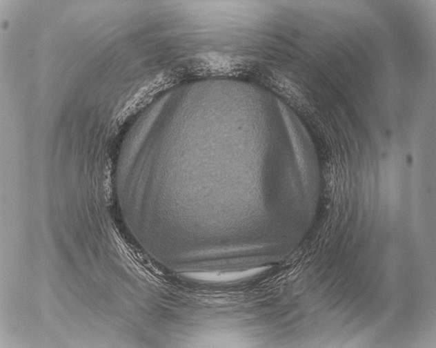 X0000052630642200507221751