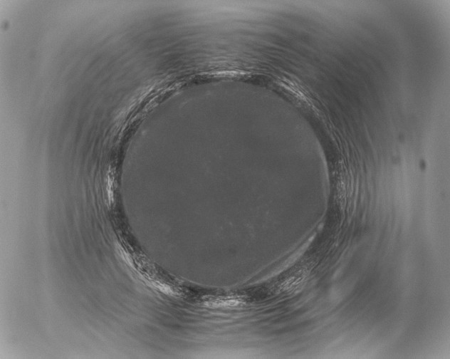 X0000052630643200507221751