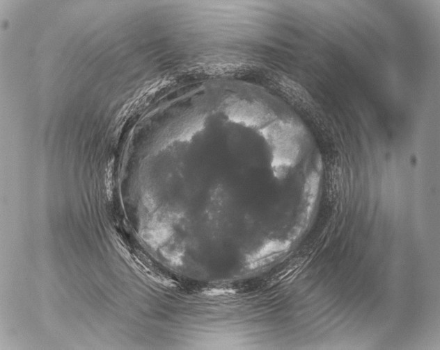 X0000052630644200507221751