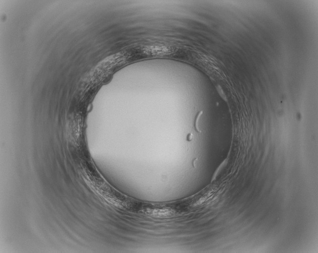 X0000052630645200507221751