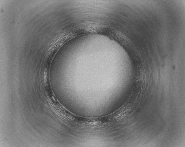 X0000052630646200507221751