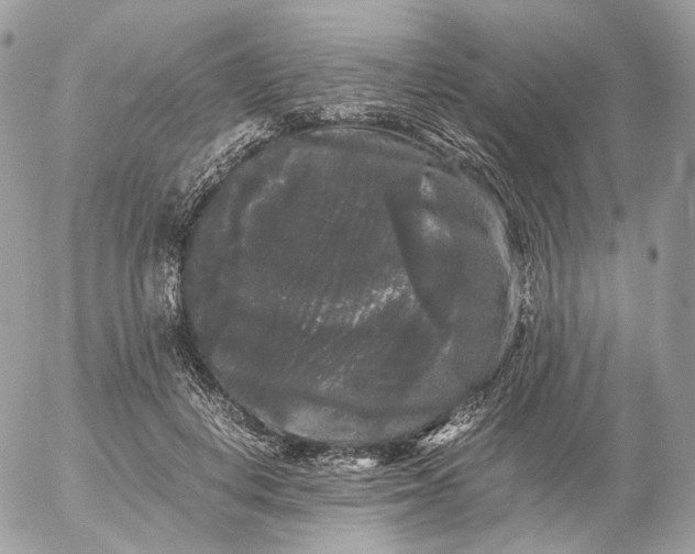 X0000052630648200507221751