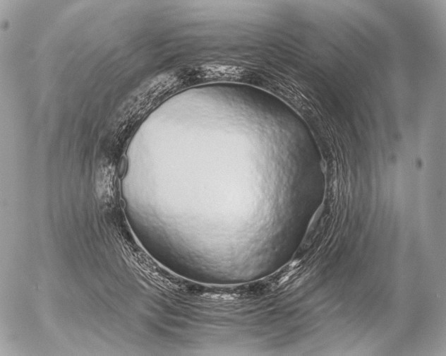 X0000052630649200507221751