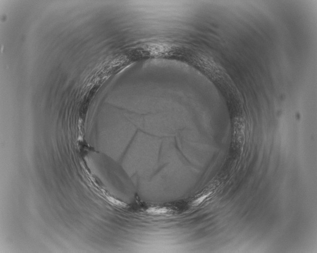 X0000052630650200507221751