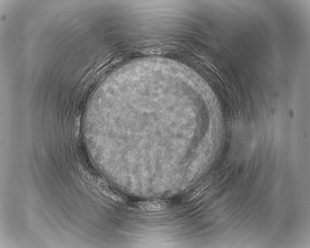 X0000052630652200507221751