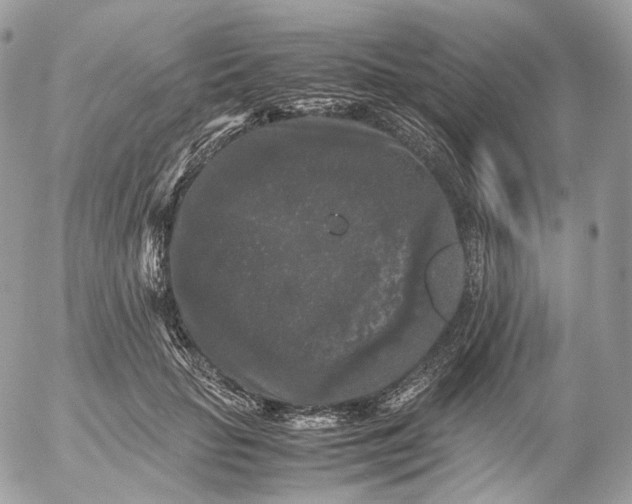 X0000052630653200507221751