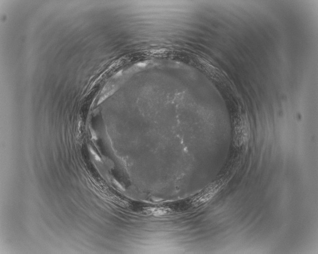 X0000052630654200507221751