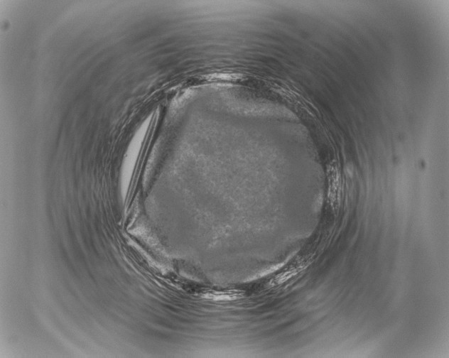 X0000052630655200507221751