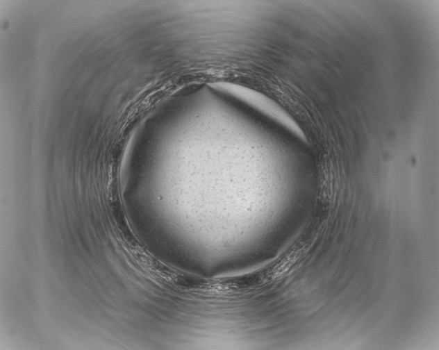 X0000052630656200507221751