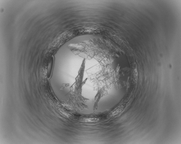 X0000052630657200507221751