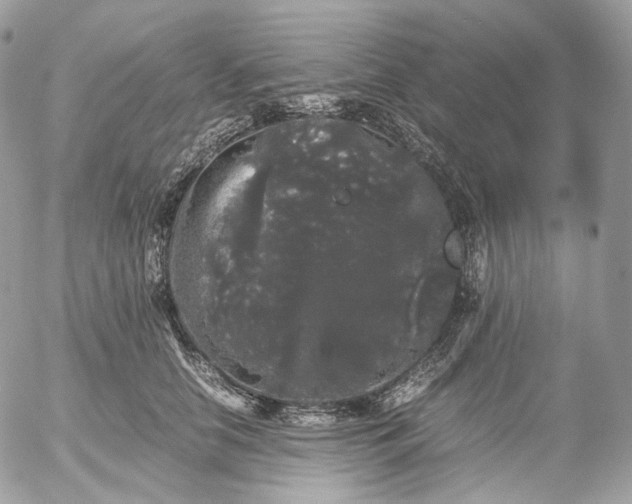 X0000052630658200507221751