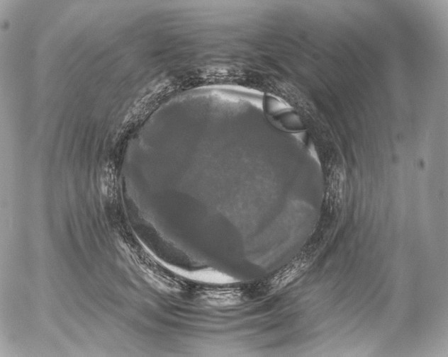 X0000052630659200507221751