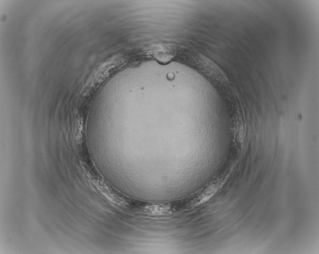 X0000052630660200507221751