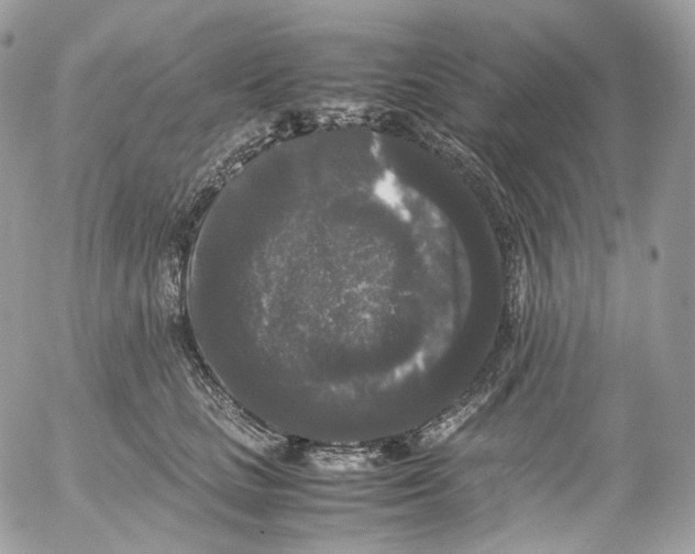 X0000052630661200507221751