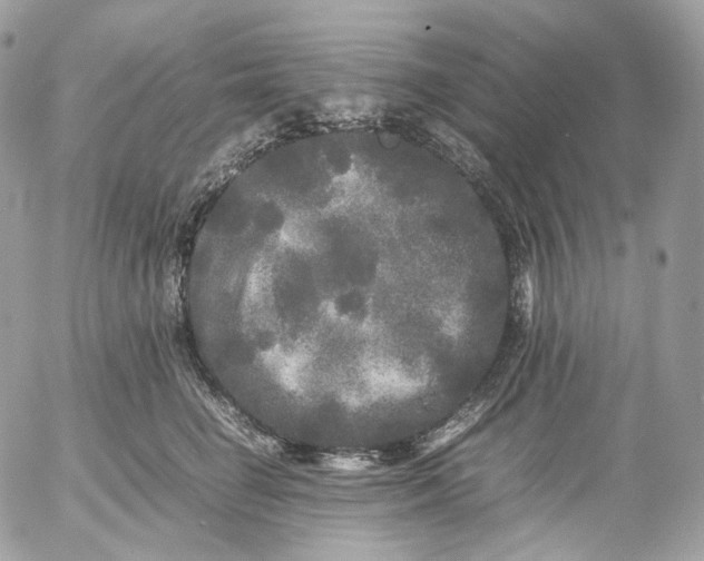 X0000052630662200507221751