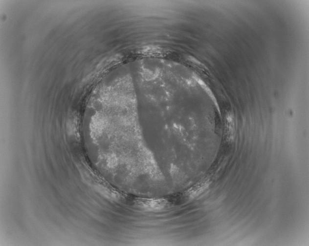 X0000052630663200507221751