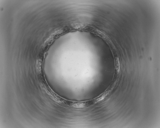 X0000052630664200507221751