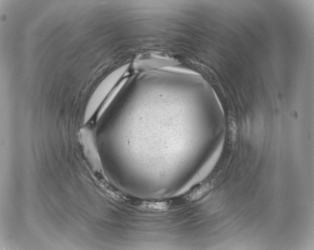 X0000052630665200507221751