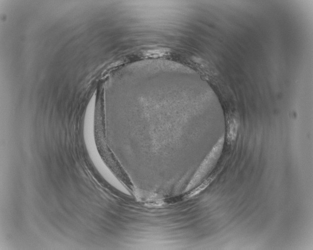 X0000052630666200507221751