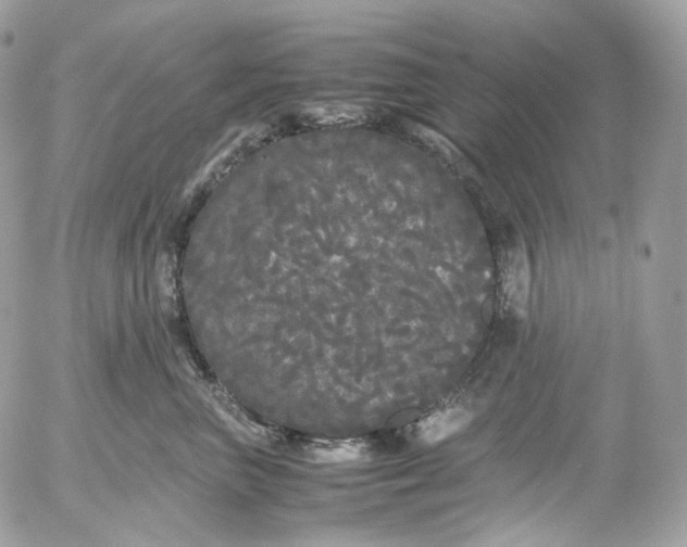 X0000052630667200507221751