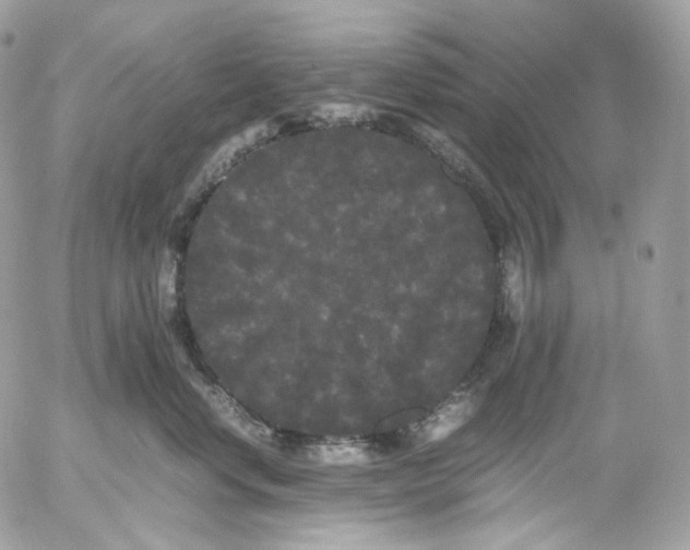 X0000052630668200507221751