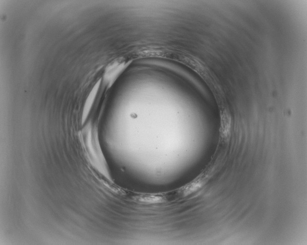 X0000052630669200507221751